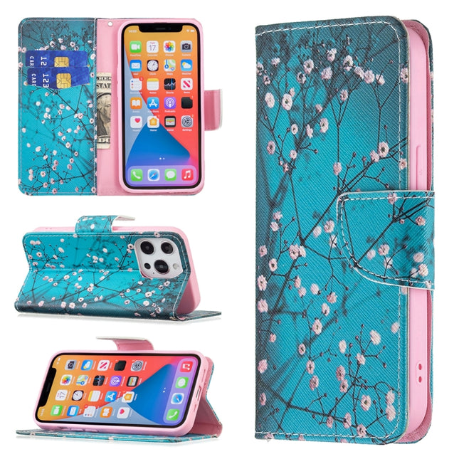 Colored Drawing Pattern Horizontal Flip Leather Case with Holder & Card Slots & Wallet For iPhone 13 Pro Max(Plum Blossom)-garmade.com