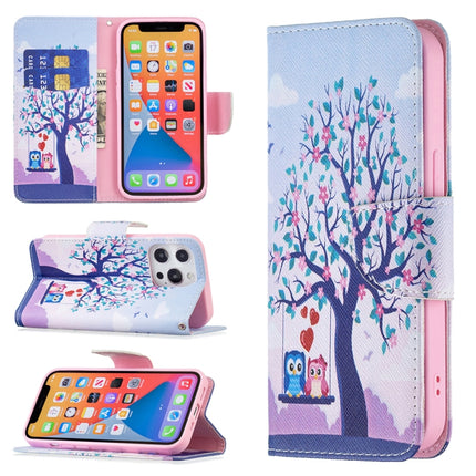 Colored Drawing Pattern Horizontal Flip Leather Case with Holder & Card Slots & Wallet For iPhone 13(Two Owls)-garmade.com