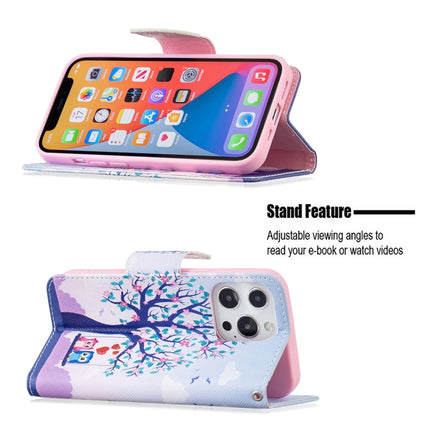 Colored Drawing Pattern Horizontal Flip Leather Case with Holder & Card Slots & Wallet For iPhone 13 Pro(Two Owls)-garmade.com