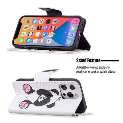 Colored Drawing Pattern Horizontal Flip Leather Case with Holder & Card Slots & Wallet For iPhone 13 Pro(Panda)-garmade.com