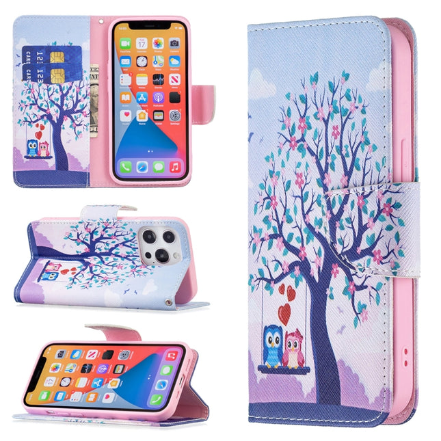 Colored Drawing Pattern Horizontal Flip Leather Case with Holder & Card Slots & Wallet For iPhone 13 Pro Max(Two Owls)-garmade.com