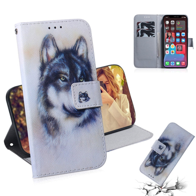 Coloured Drawing Horizontal Flip Leather Case, with Holder & Card Slots & Wallet For iPhone 13 Pro Max(White Wolf)-garmade.com