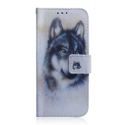 Coloured Drawing Horizontal Flip Leather Case, with Holder & Card Slots & Wallet For iPhone 13 Pro Max(White Wolf)-garmade.com