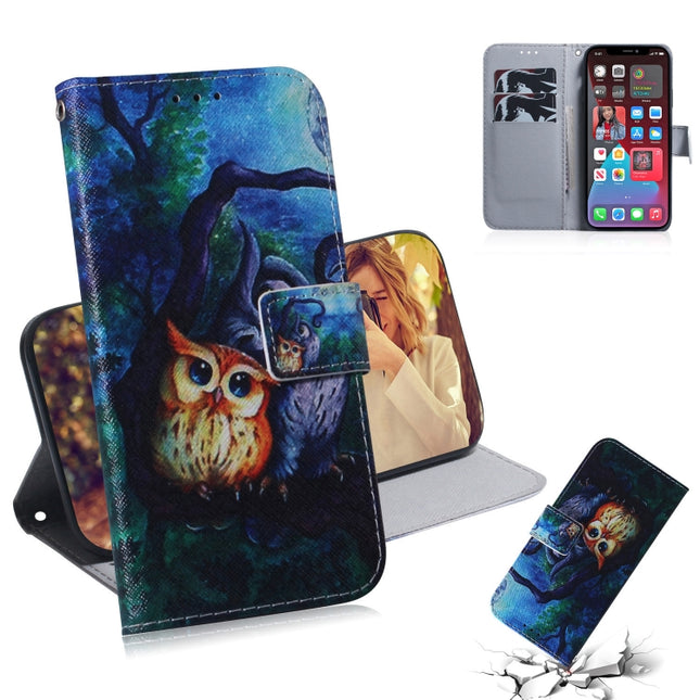 Coloured Drawing Horizontal Flip Leather Case, with Holder & Card Slots & Wallet For iPhone 13 Pro Max(Oil Painting Owl)-garmade.com