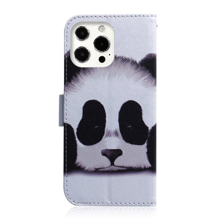 Coloured Drawing Horizontal Flip Leather Case, with Holder & Card Slots & Wallet For iPhone 13 Pro Max(Panda)-garmade.com