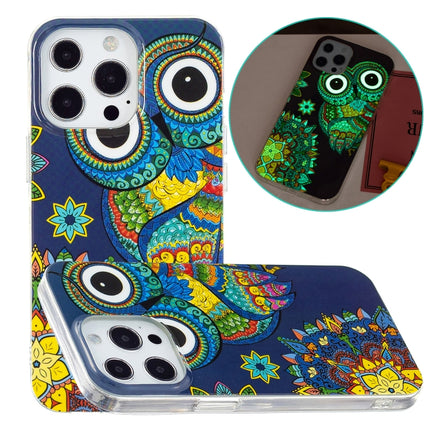 Luminous TPU Soft Protective Case For iPhone 13 Pro(Blue Owl)-garmade.com