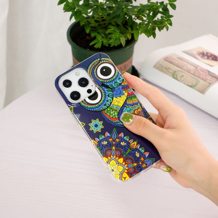 Luminous TPU Soft Protective Case For iPhone 13 Pro Max(Blue Owl)-garmade.com