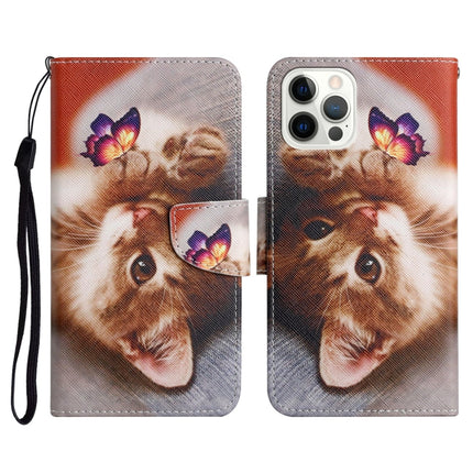 Painted Pattern Horizontal Flip Leather Case with Holder & Card Slot & Wallet For iPhone 13 Pro(Butterfly Cat)-garmade.com