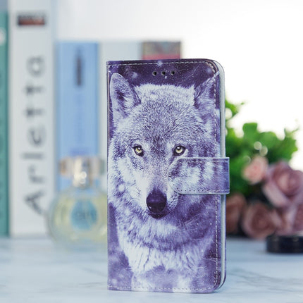 Painted Pattern Horizontal Flip Leather Case with Holder & Card Slots & Photo Frame For iPhone 13(White Wolf)-garmade.com