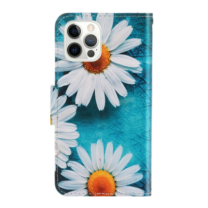 3D Colored Drawing Horizontal Flip Leather Phone Case For iPhone 13 Pro(Chrysanthemum)-garmade.com