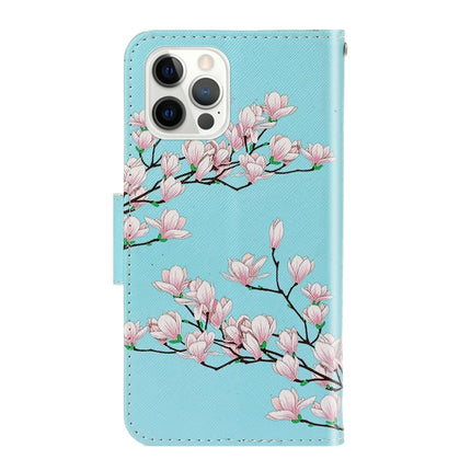 3D Colored Drawing Horizontal Flip Leather Phone Case For iPhone 13 Pro(Magnolia)-garmade.com