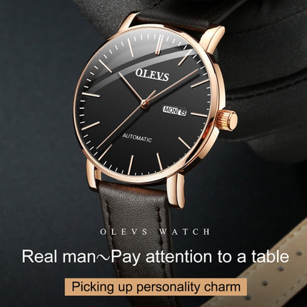 OLEVS 5882 Men Business Ultra-thin Waterproof Automatic Mechanical Watch(Steel Strap Gold Black)-garmade.com