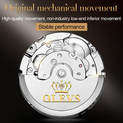 OLEVS 6607 Multi-function Men Big Flywheel Automatic Waterproof Mechanical Watch(Silver Gold Green)-garmade.com