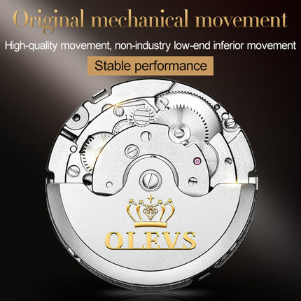 OLEVS 6607 Multi-function Men Big Flywheel Automatic Waterproof Mechanical Watch(White)-garmade.com