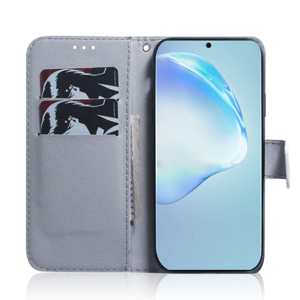 For Galaxy S20+ Combined Pattern Magnetic Attraction Horizontal Flip Leather Case, Support Holder & Card Slot & Wallet(Tiger)-garmade.com