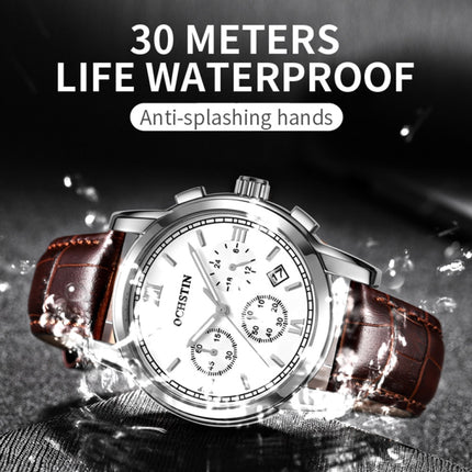 OCHSTIN 6097B Multifunctional Quartz Waterproof Luminous Men Leather Watch(Silver+Black)-garmade.com