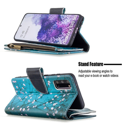 For Samsung Galaxy S20 Colored Drawing Pattern Zipper Horizontal Flip Leather Case with Holder & Card Slots & Wallet(Plum Blossom)-garmade.com