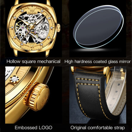 OLEVS 6651 Men Luminous Waterproof Hollow Mechanical Watch(Gold)-garmade.com