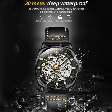 OLEVS 6651 Men Luminous Waterproof Hollow Mechanical Watch(Black)-garmade.com