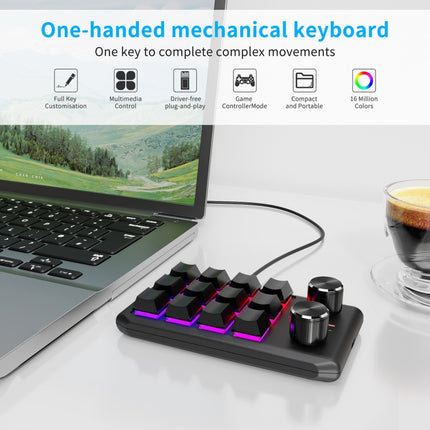 USB Wired 12KV2 MOLD Mini Mechanical 12 Keys 2 Knob Custom Programming Keyboard(Black)-garmade.com