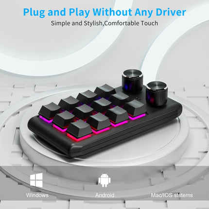 USB Wired 12KV2 MOLD Mini Mechanical 12 Keys 2 Knob Custom Programming Keyboard(Black)-garmade.com