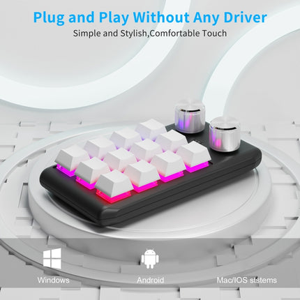 USB Wired 12KV2 MOLD Mini Mechanical 12 Keys 2 Knob Custom Programming Keyboard(White)-garmade.com