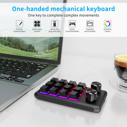 Bluetooth Wireless 12KV2 MOLD Mini Mechanical 12 Keys 2 Knob Custom Programming Keyboard(Black)-garmade.com