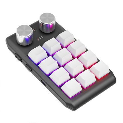 Bluetooth Wireless 12KV2 MOLD Mini Mechanical 12 Keys 2 Knob Custom Programming Keyboard(White)-garmade.com