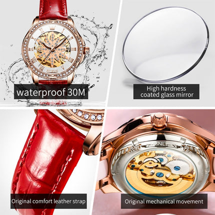 OLEVS 6681 Women Multifunctional Hollow Waterproof Mechanical Watch(White Surface Red Belt)-garmade.com