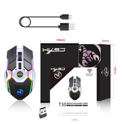HXSJ T30 2400DPI RGB 2.4GHz Wireless Mouse(Black)-garmade.com