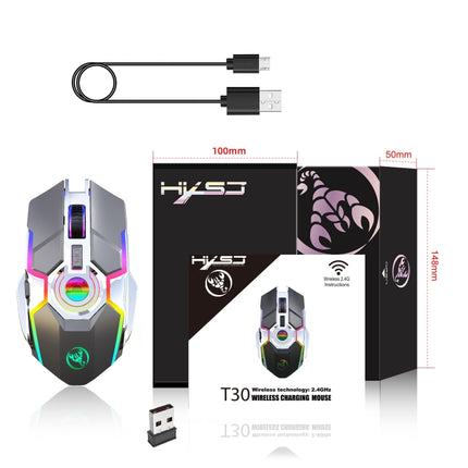 HXSJ T30 2400DPI RGB 2.4GHz Wireless Mouse(Metallic Grey)-garmade.com