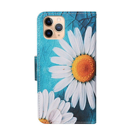 For iPhone 11 Pro Max Colored Drawing Pattern Horizontal Flip Leather Case with Holder & Card Slots & Wallet(Daisy)-garmade.com