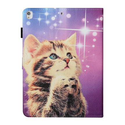 Colored Drawing Pattern Horizontal Flip PU Leather Case with Holder & Card Slot & Sleep / Wake-up Function For iPad Pro 10.2 2021 / 2020 / 2019 / 10.5 (2019)(Starry Cat)-garmade.com