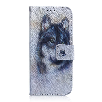 For Samsung Galaxy Note 20 Ultra Coloured Drawing Horizontal Flip Leather Case, with Holder & Card Slots & Wallet(White Wolf)-garmade.com