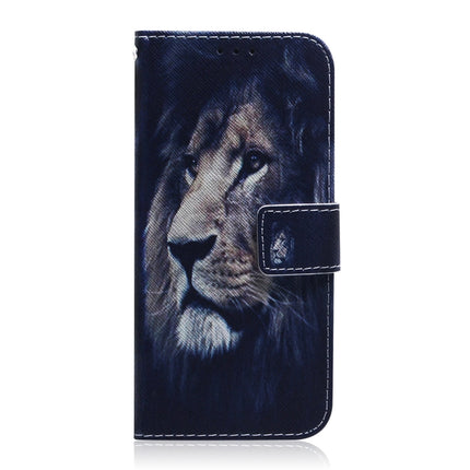 For Samsung Galaxy Note 20 Ultra Coloured Drawing Horizontal Flip Leather Case, with Holder & Card Slots & Wallet(Lion)-garmade.com