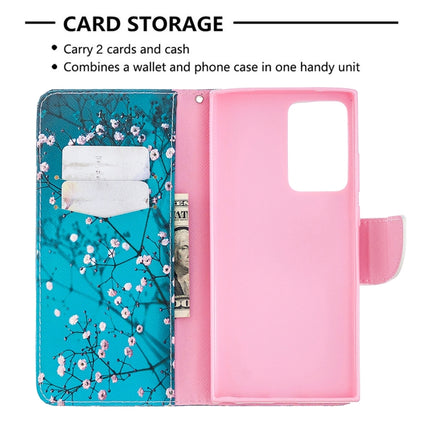 For Samsung Galaxy Note 20 Ultra Colored Drawing Pattern Horizontal Flip Leather Case with Holder & Card Slots & Wallet(Plum Blossom)-garmade.com