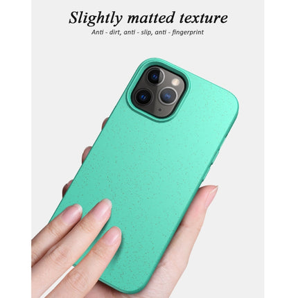 For iPhone 12 mini Starry Series Shockproof Straw Material + TPU Protective Case(Blue)-garmade.com