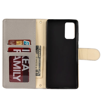 For Samsung Galaxy Note20 Color Splicing Horizontal Flip Leather Case with Holder & Card Slots & Wallet & Photo Frame(Grey)-garmade.com