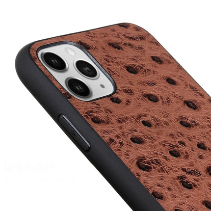 Ostrich Texture Genuine Leather Protective Case For iPhone 11(Black)-garmade.com