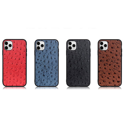 Ostrich Texture Genuine Leather Protective Case For iPhone 11 Pro(Blue)-garmade.com