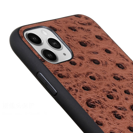 Ostrich Texture Genuine Leather Protective Case For iPhone 11 Pro Max(Blue)-garmade.com