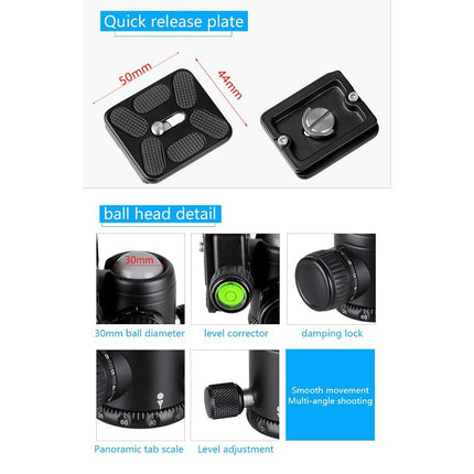BEXIN BX255C K30 Portable Carbon Fiber Tripod for Camera Dslr-garmade.com