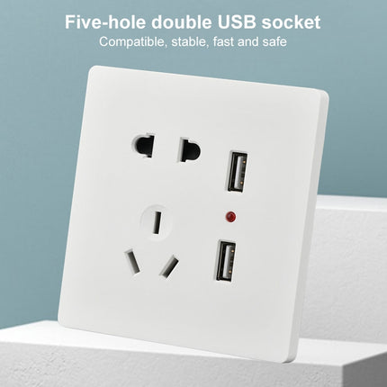 Universal Standard Wall Socket with 2 x USB Ports-garmade.com