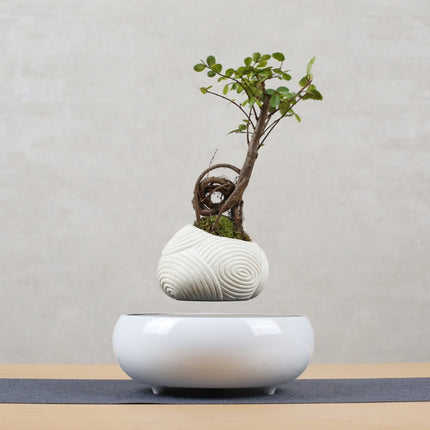 Beige Stripe Flower Pot + Imitation Ceramic Resin Base Magnetic Levitation Potted Plant Home Decoration, US Plug-garmade.com