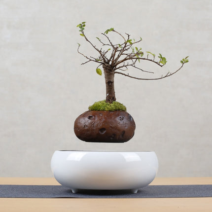 Soil Color Flower Pot + Imitation Ceramic Resin Base Magnetic Levitation Potted Plant Home Decoration, US Plug-garmade.com