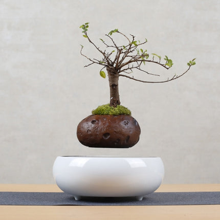Soil Color Flower Pot + Imitation Ceramic Resin Base Magnetic Levitation Potted Plant Home Decoration, EU Plug-garmade.com