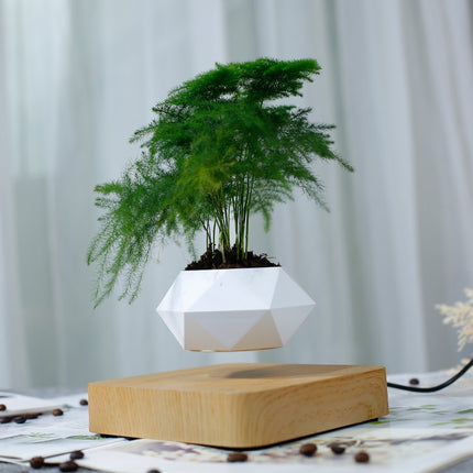 Diamond Plastic Flower Pot + Light Wood Grain Base Magnetic Levitation Potted Plant Home Decoration, EU Plug-garmade.com