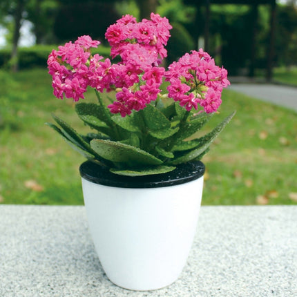 Lazy Flower Pots Automatic Water-absorbing Hydroponic Potted Plants Circular Resin Plastic Flower Pots Double-layer Design Self Watering Planter, Diameter: 15cm, Height: 15.5cm(White)-garmade.com