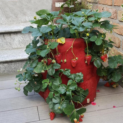 3 Pockets 18L / 5 Gallon Non-woven Felt Strawberry Planting Bag, Size: 23X28cm(Grass Green)-garmade.com