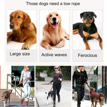 Pet Dogs Nylon Night Reflective Breathable Handheld Traction Lead Leash, Size: M, Adjustable Range: 2.5*(100-140cm)(Orange)-garmade.com